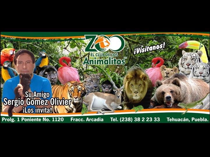 Acusa organización internacional maltrato en zoológico de diputado de Tehuacán