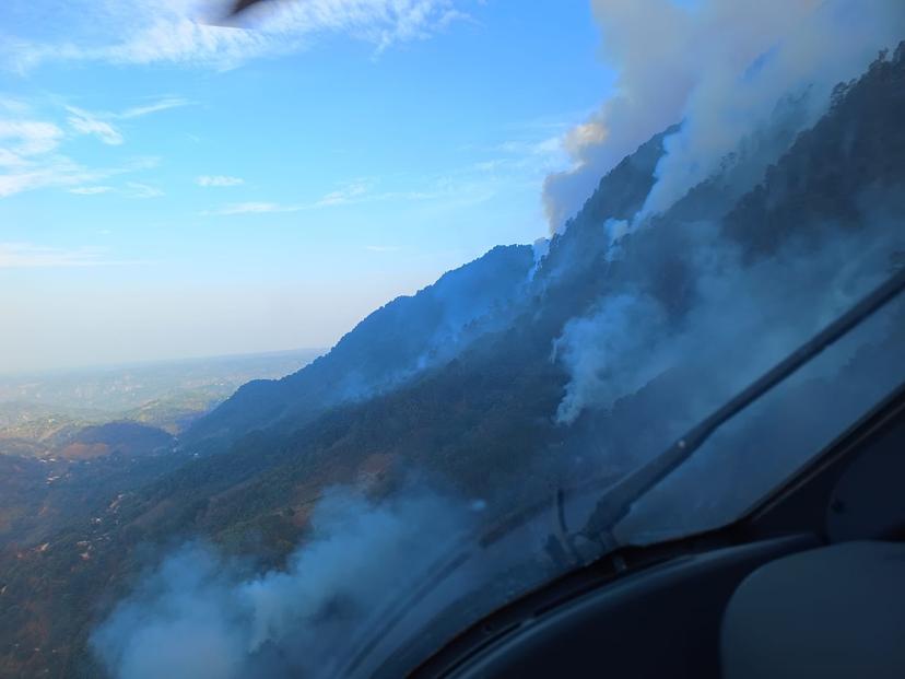 Ayer lunes se atendieron 17 incendios forestales en Puebla: Céspedes