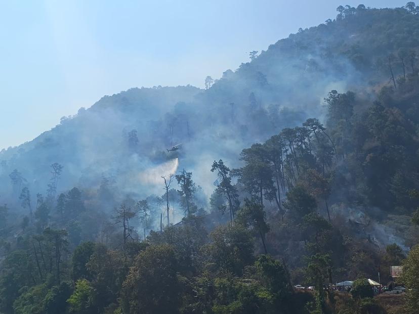 El 90% de los incendios forestales en Puebla son provocados: Céspedes