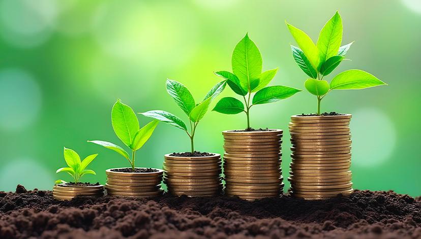Mitigar el cambio climático requiere en México 1.7 billones de pesos