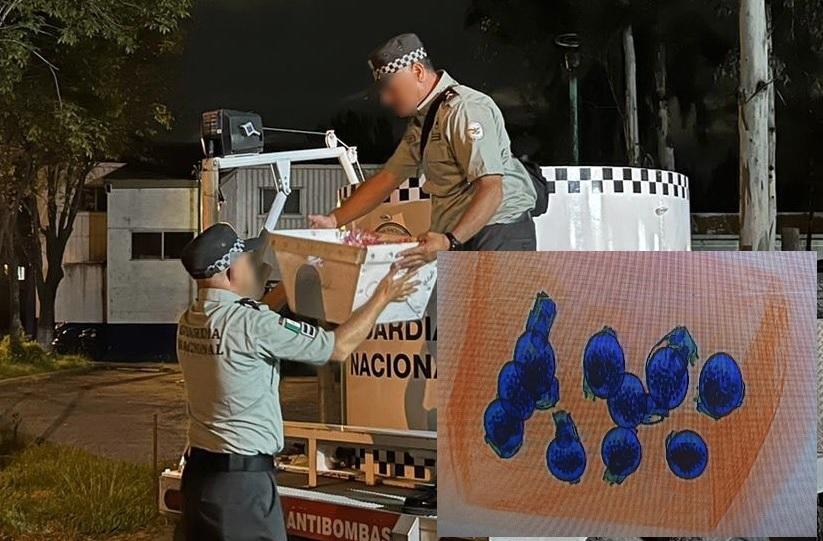 Detectan paquete con 10 granadas enviadas por paquetería en la CDMX