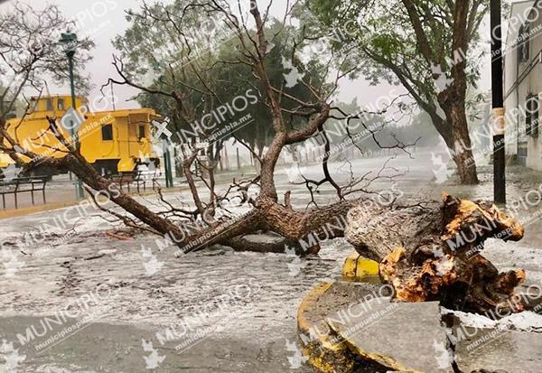 VIDEO Fuerte granizada azota Tehuacán y Ajalpan