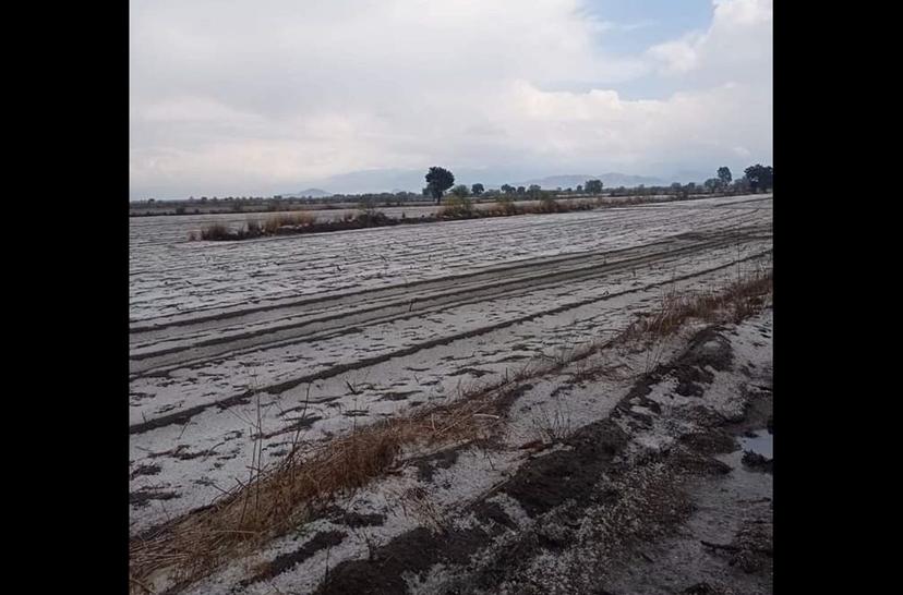 Sorprende granizada a pobladores de San Nicolás Buenos Aires