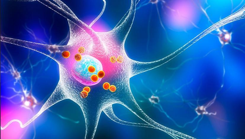 Estudian atender el Parkinson con dispositivo nanotecnológico que acarrea dopamina