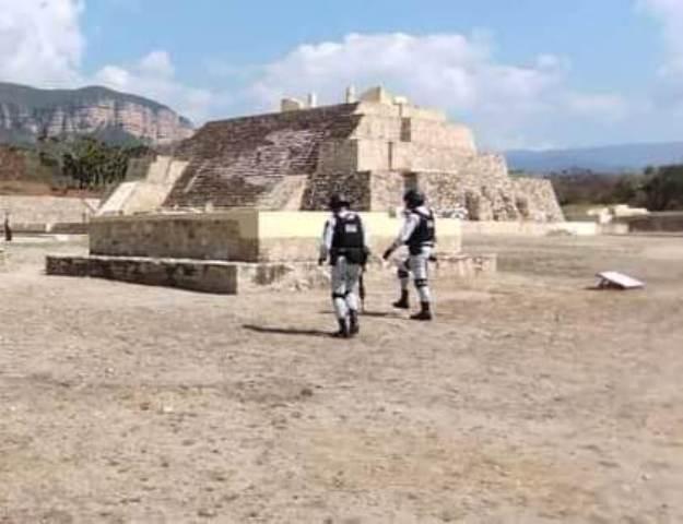 Registra zona arqueológica Ndachjian de Tehuacán saqueo de leña y especies verdes 