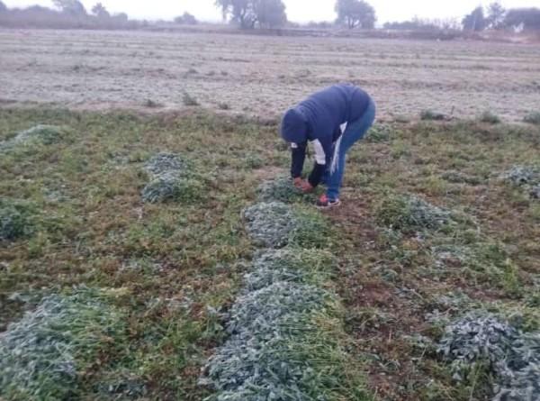 Entrada de Frente Frío 23 genera heladas en la región de Tecamachalco