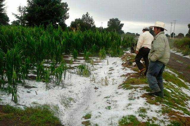 Temperaturas hasta de -5 grados en montañas de Puebla