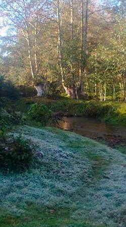 Intenso frío cubre de hielo el municipio de Teziutlán