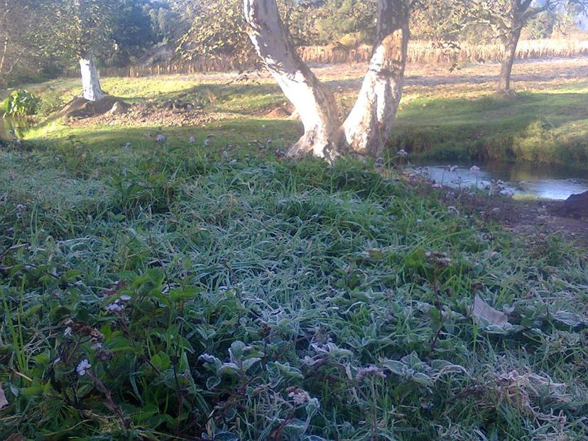 Intenso frío cubre de hielo el municipio de Teziutlán