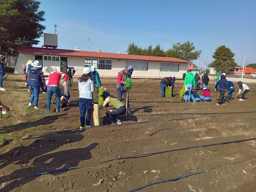 Granjas Carroll implementa huertos escolares en comunidades poblanas