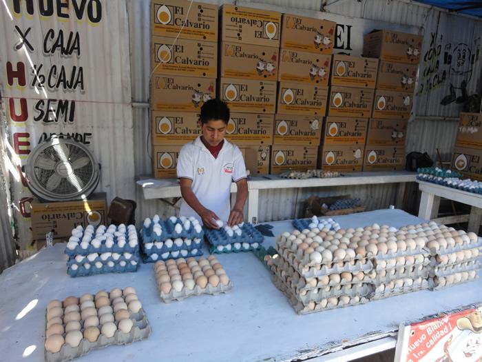 Analizan exporta huevo y pollo de Tehuacán a Holanda