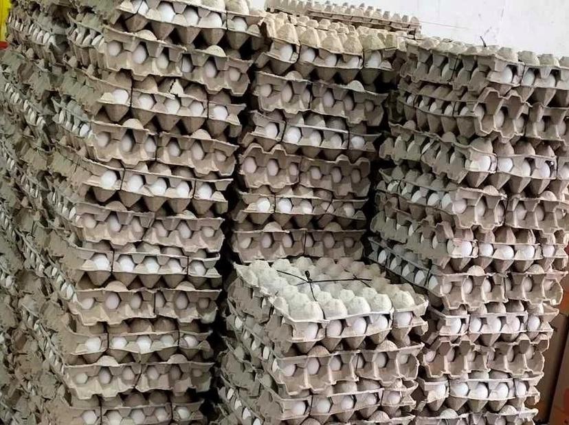 Altas temperaturas reducen 3% producción de huevo en el corredor Tehuacán-Tecamachalco