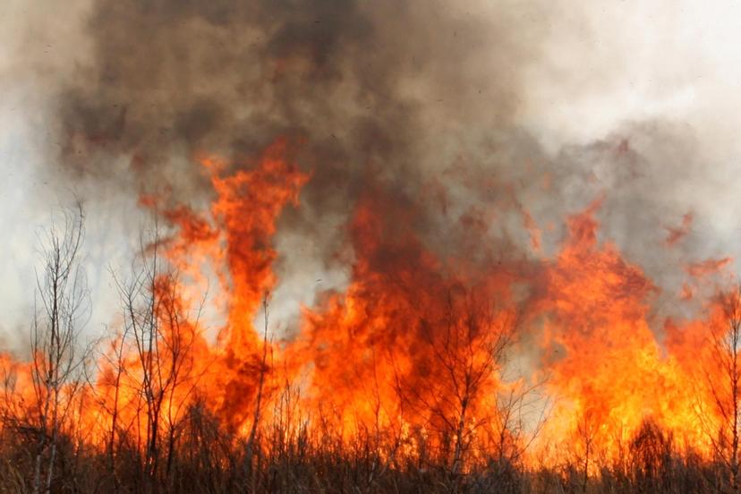Humo generado por incendios forestales, podría afectar vías respiratorias: SESA Tlaxcala 