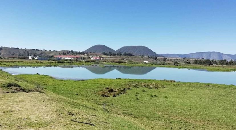 Por contaminación, urge reubicar laguna de oxidación de Serdán