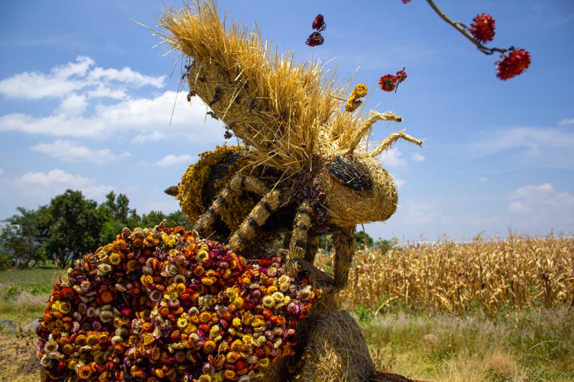 Atlixco recibirá las esculturas de paja más grandes de Latinoamérica