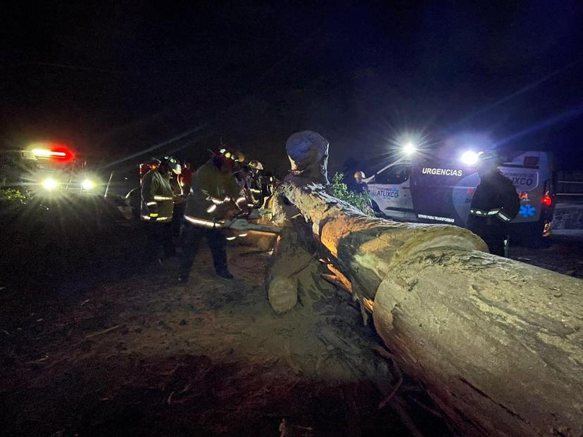 Lluvia derriban árbol y bloquea acceso a comunidad de Atlixco