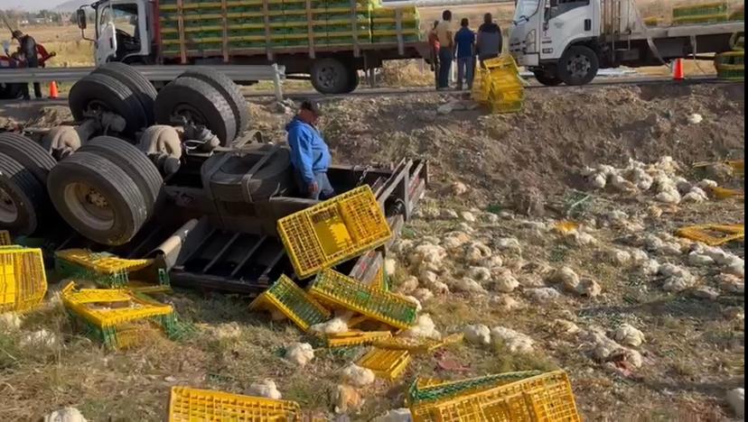 Vuelca tráiler y mueren decenas de pollos en la Autopista Siglo XXI