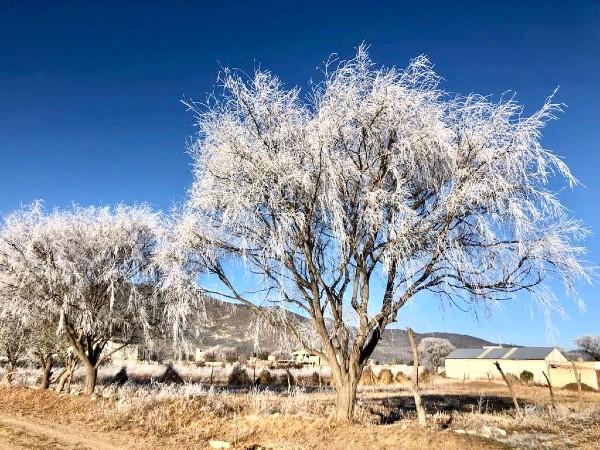 Escarcha de hielo pinta de blanco terrenos de labor en municipios de la región de Serdán