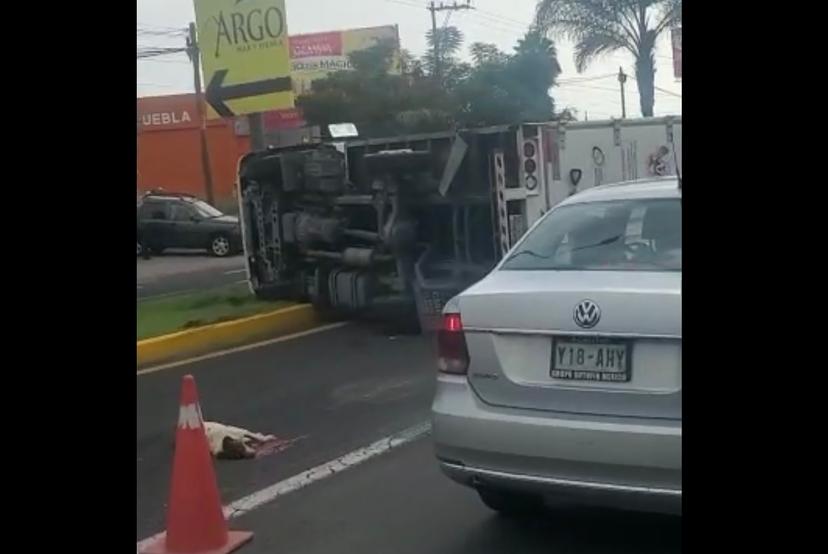 Intentó esquivar a un perrito y terminó volteado en vía de Atlixco