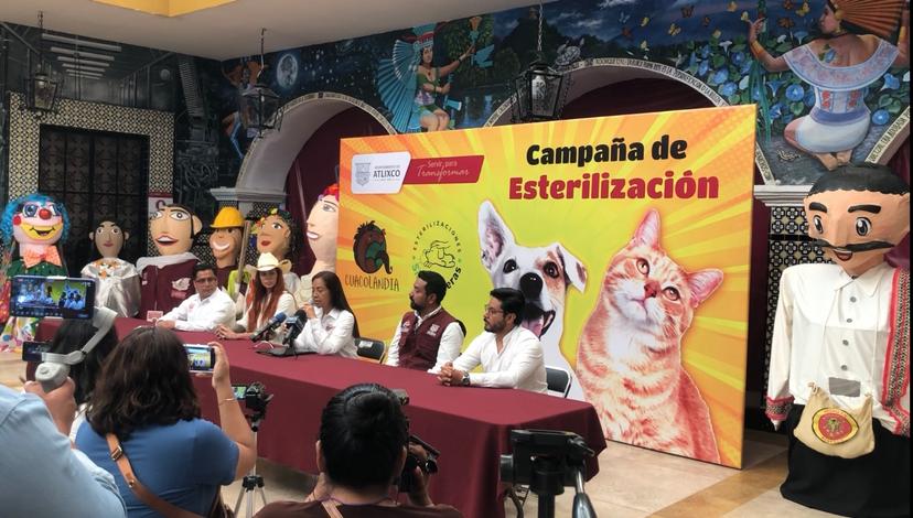 Habrá jornada de esterilización gratuita en Atlixco