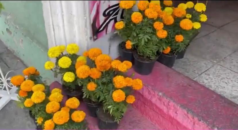 Florerías en Atlixco también aumentan ventas en temporada de Todos Santos