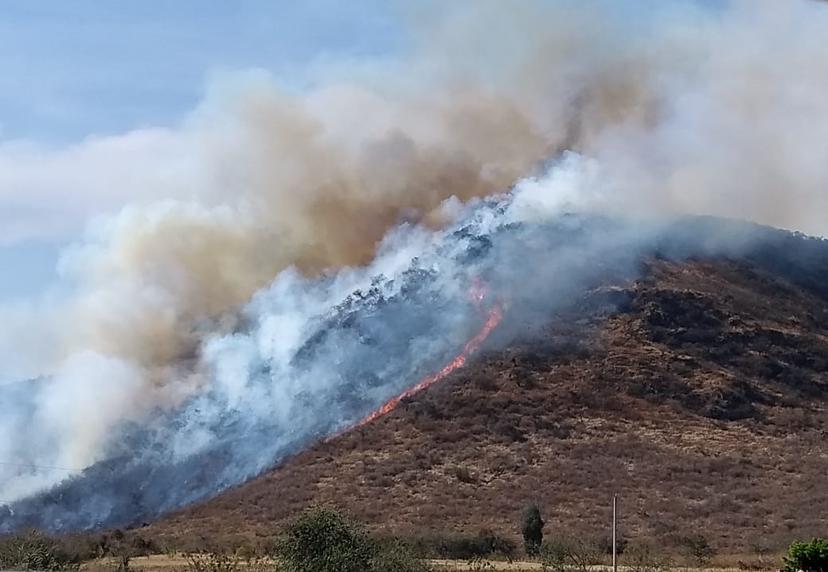 Pánico en Atlixco por incendio, podría alcanzar viviendas