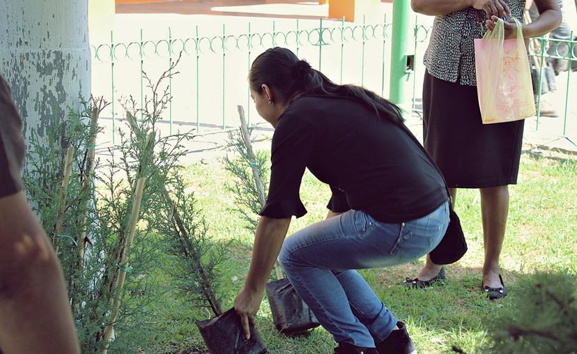 Realizan tareas de reforestación en Tlapanalá