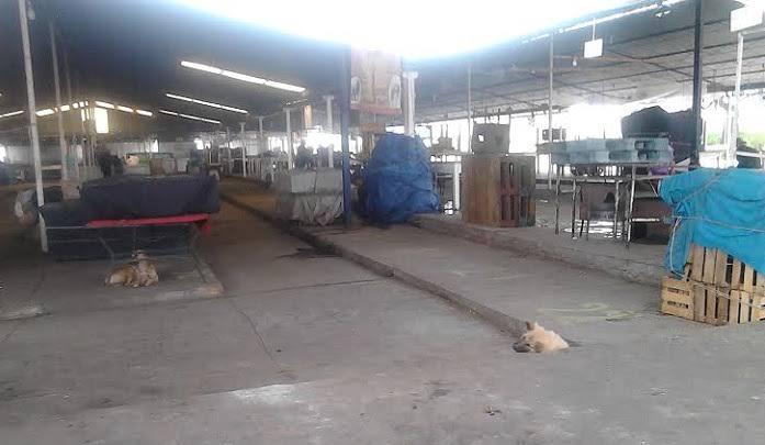Urgen mejorar mercado en Huejotzingo