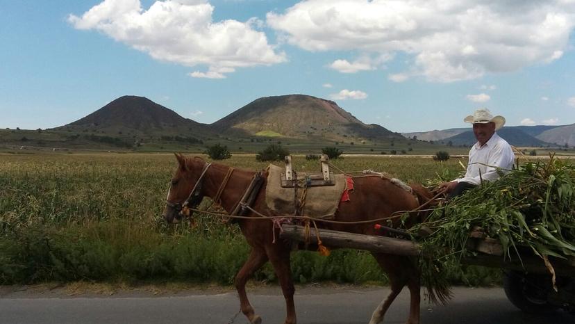 Sequía afecta 70 % de cultivos en región de Serdán