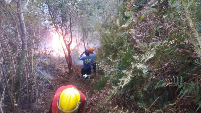 Llamas arrasan con 30 hectáreas de bosque en Huauchinango