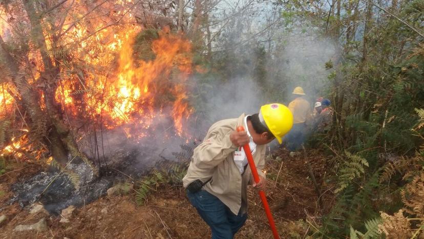 Llamas arrasan con 30 hectáreas de bosque en Huauchinango