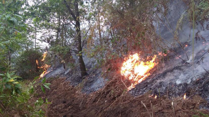 Fuego acaba con 13 hectáreas de bosque en Huauchinango