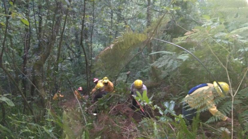 Fuego acaba con 13 hectáreas de bosque en Huauchinango