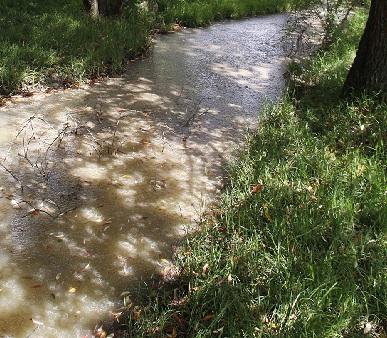 Acusan a productores de queso de contaminar barrancas en El Verde