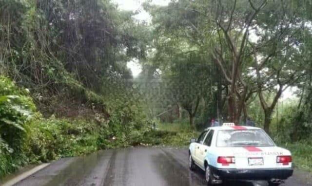 Fuertes lluvias causan derrumbes en carretera de Ayotoxco