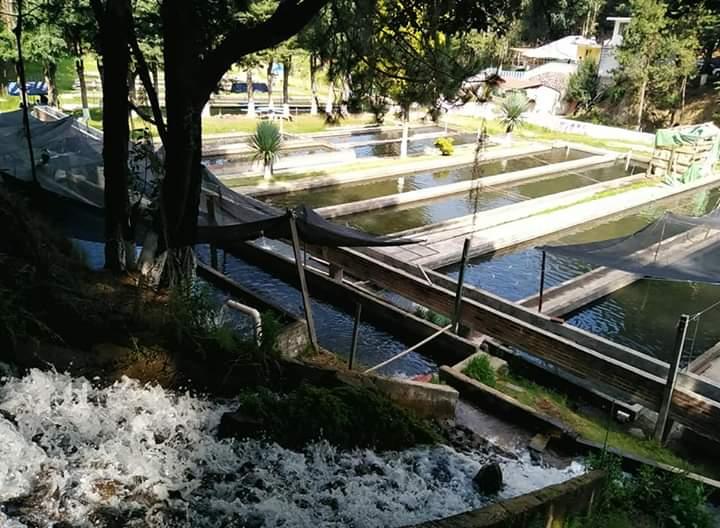 Trucheros de Tlahuapan cierran sus puertas por el Covid-19