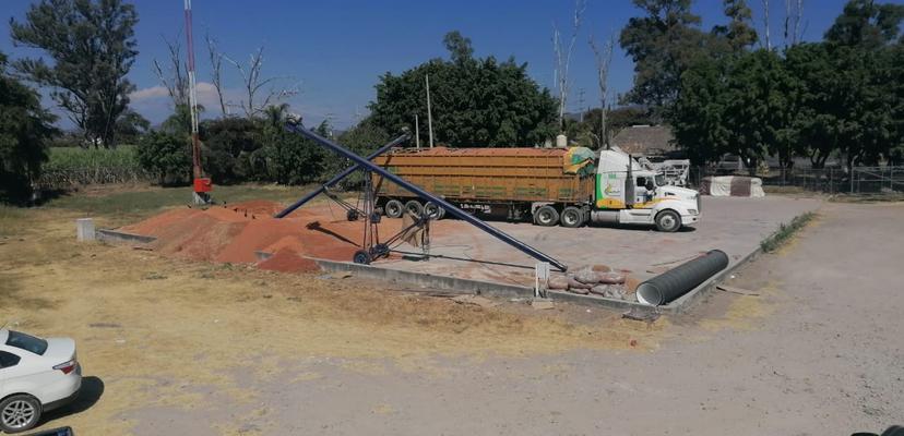 Productores de sorgo alcanzan buen precio en Izúcar