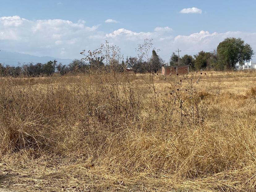 Hallan cadáver calcinado en paraje de Huejotzingo