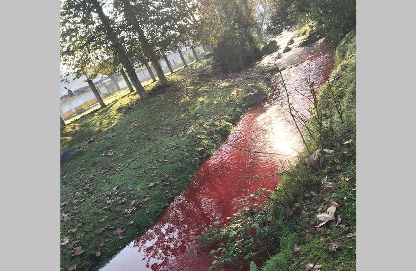 Se tiñe de rojo río Xoloatl en Teziutlán, pobladores exigen soluciones