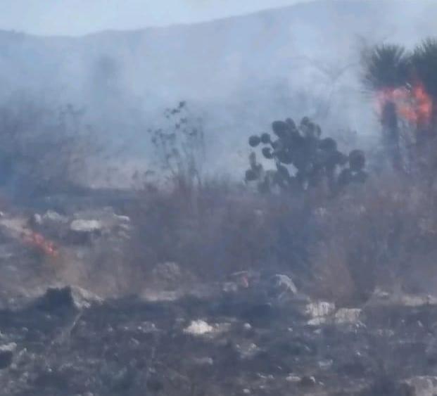 Incendio consume hectáreas en la Reserva Tehuacán-Cuicatlán