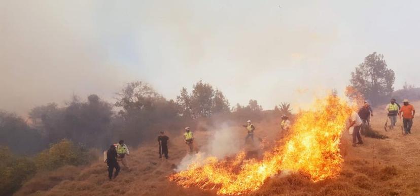 Vecinos de Teotlalcingo y El Verde trabajan en sofocar incendio