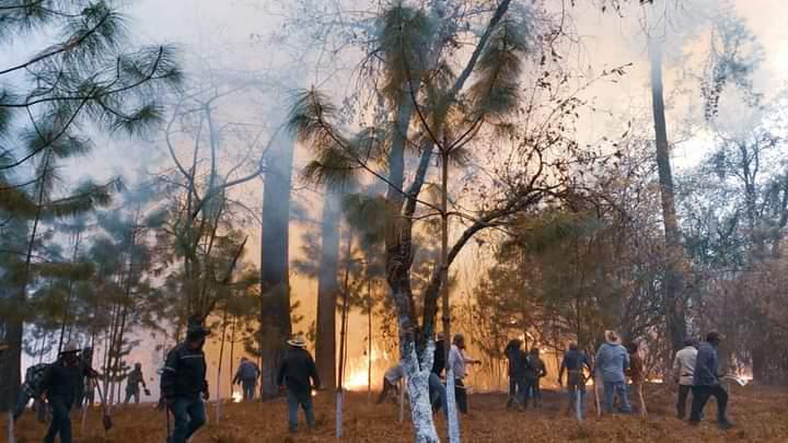 Vecinos logran sofocar incendio en zona boscosa de Teotlalcingo