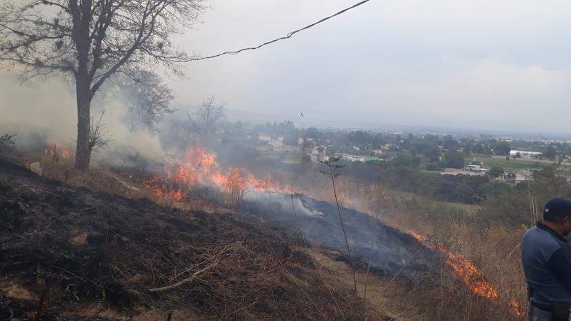 Texmelucan conformará brigadas forestales en tres comunidades