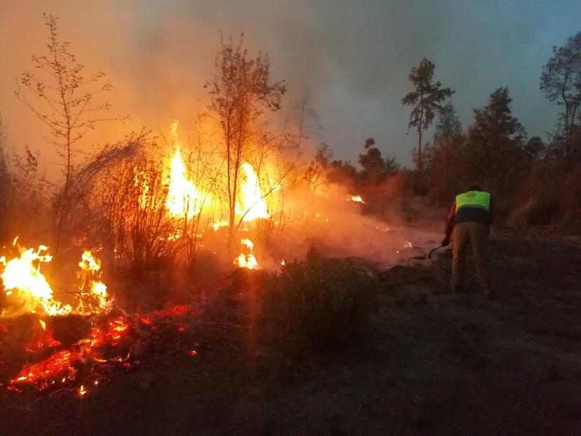 En Puebla se han registrado 201 incendios forestales