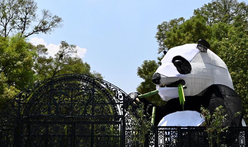 Un siglo de vida del Zoológico de Chapultepec