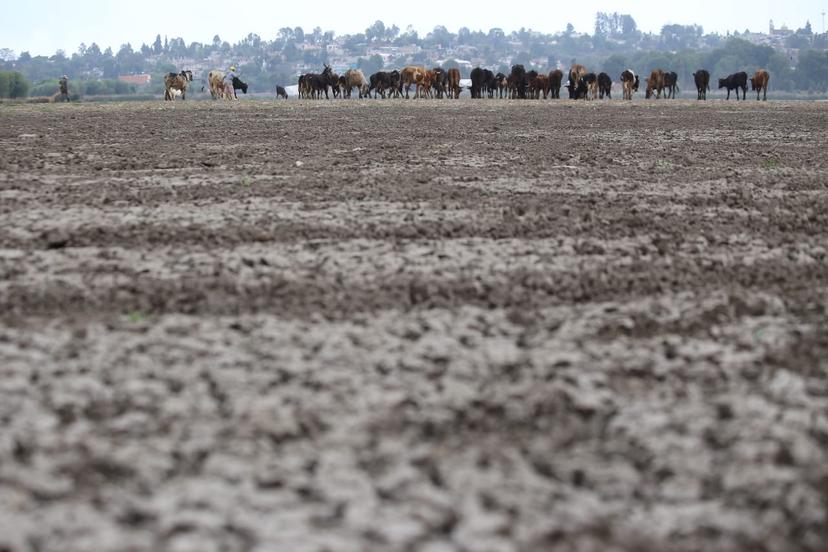 Chignahuapan presenta un nivel de sequía extrema