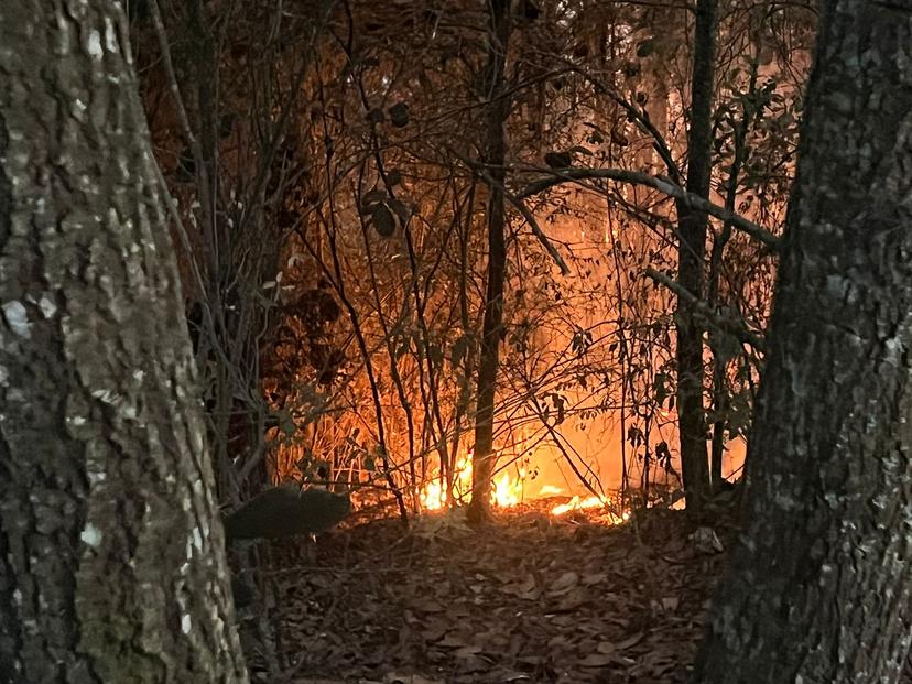 VIDEO Coordinan acciones para controlar incendio en Zacatlán