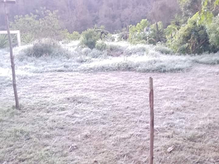 Por segundo día se registran heladas en municipio de la sierra nororiental