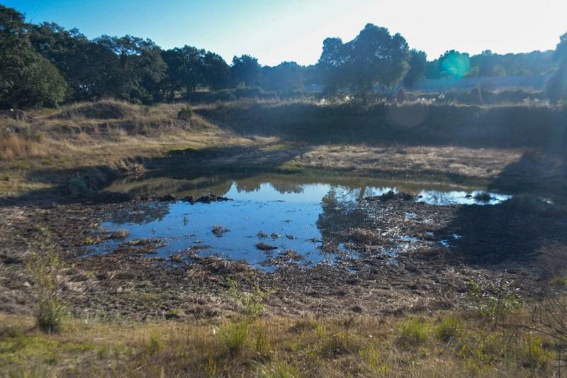 Con sequía o anormalmente secos, 9 de cada 10 municipios en Puebla