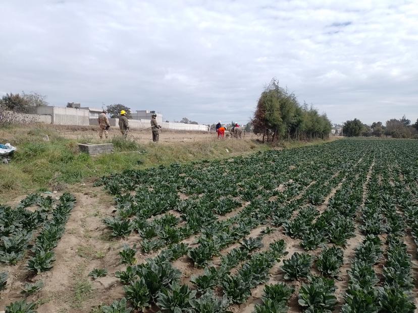 Ubican toma clandestina en terrenos de cultivo en Texmelucan